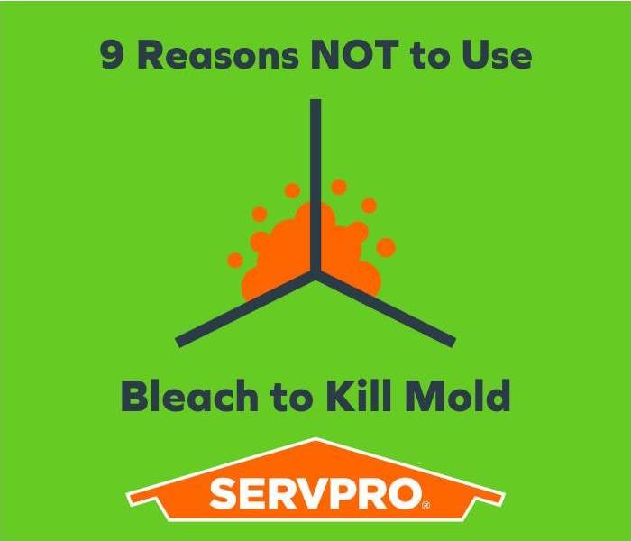 9 reasons not to use bleach to kill mold