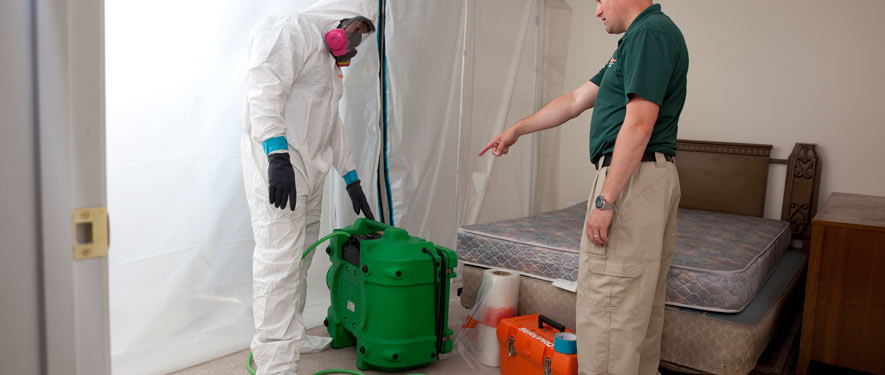 Tustin, CA mold removal process